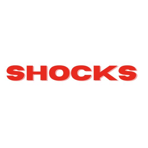 Shocks – PSR USA