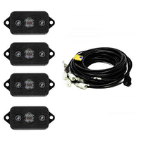 LED Rock Light Kit (Red)