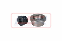 Diff Housing Flush Drain Plug