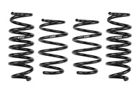 Pro-Kit Lowering Springs