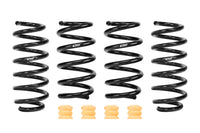 Pro-Kit Lowering Springs