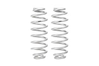 Set Of 2 Springs