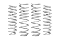Set Of 4 Springs