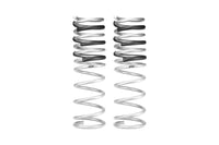 Pair Of 2 Springs
