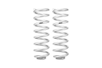 Pair Of 2 Springs