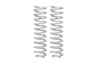 Set Of 2 Springs