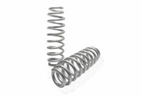 Set Of 2 Springs