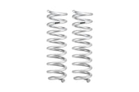 Set Of 2 Springs