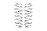 Pair Of 2 Springs
