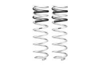 Set Of 2 Springs