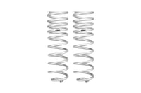 Set Of 2 Springs