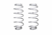 Set Of 2 Springs