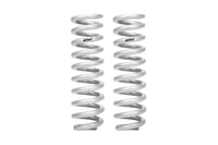 Set Of 2 Springs
