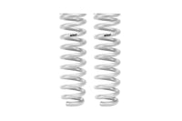 Set Of 2 Springs