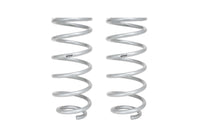 Set Of 2 Springs