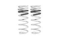 Set Of 2 Springs
