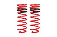 Pro-Lift Springs