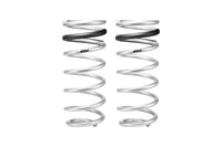 Set Of 2 Springs