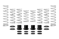 Pro-UTV Spring Kit