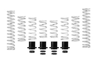Pro-UTV Spring Kit