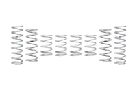 Set Of 8 Springs + Hardware