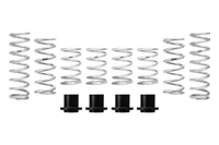 Pro-UTV Spring Kit