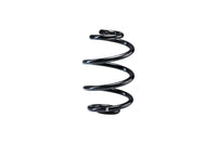 Single Rear Spring