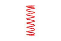 ERS Motorsport Spring