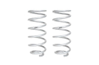 Pro-Lift Springs