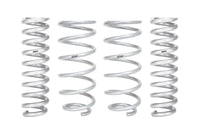 Pro-Lift Springs