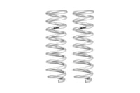 Set Of 2 Springs